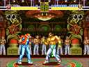 Fatal Fury - Album Edition[CD]