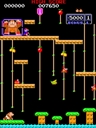 Donkey Kong Junior (US set F-2)