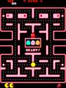 Pacman Unleashed (Flat)