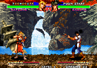 Ninja Master's (Enhanced power) png snap