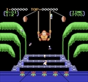 Donkey Kong 3 (PlayChoice-10)