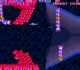 Salamander (version D) png snap