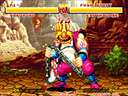 Samurai Shodown (Alternate board)