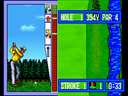 Top Player's Golf (CD conversion)