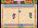 Windjammers / Flying Power Disc