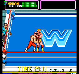 WWE Superstars (Basic Fun) png snap