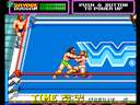 WWF Superstars (Europe)