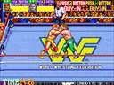 WWF WrestleFest (World)