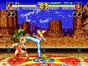 Fatal Fury 2 / Garou Densetsu 2 - Arata-naru Tatakai (NGM-047 ~ NGH-047)