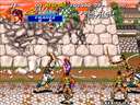 Sengoku 2 / Sengoku Denshou 2