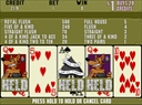 Bad Dog Poker (0200428V, NSW/ACT)