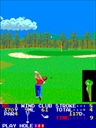 Big Event Golf (US)