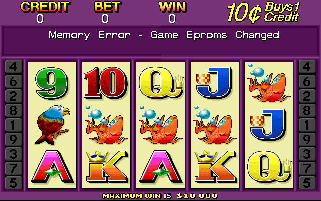 Cash Cat (0100557V, NSW/ACT) png snap