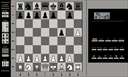 Kasparov Cougar jpg snap thumbnail