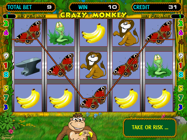 Crazy Monkey (100312 Russia) png snap