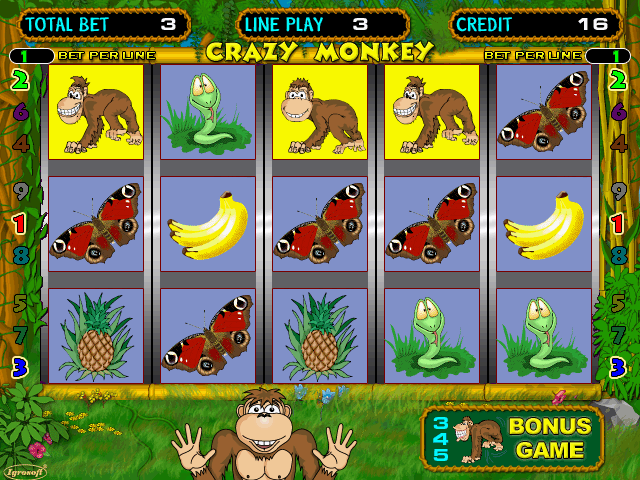 Crazy Monkey (070315 Russia) png snap