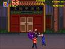 Double Dragon 3: The Rosetta Stone (US)