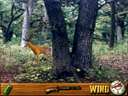Deer Hunting USA V4.3
