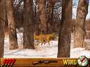 Deer Hunting USA V2