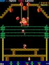 Donkey Kong 3 (US)