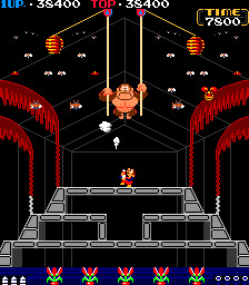 Donkey Kong 3 (bootleg on Donkey Kong Jr. hardware) png snap