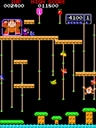 Donkey Kong Jr. (bootleg) jpg snap thumbnail