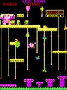 Donkey Kong Jr. (bootleg on Moon Cresta hardware, set 2) jpg snap thumbnail