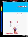 Dynamic Ski