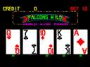 Falcons Wild - World Wide Poker (Video Klein, set 2)