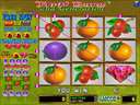 Fruit Bonus 2nd Generation (Version 1.8R Dual)