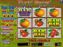 Fruit Bonus 2nd Generation (Version 1.8LT Dual)