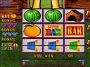 Fruit Bonus '06 - 10th anniversary (Version 1.7R CGA)