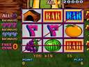 Fruit Bonus 2006 Special Edition (Version 1.4E Dual)