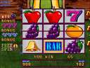 Fruit Bonus '06 - 10th anniversary (Version 1.7E Dual)