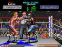 Final Blow (Japan)