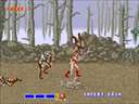 Golden Axe (set 1, World) (FD1094 317-0110)