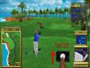 Golden Tee 3D Golf (v1.93N) jpg snap thumbnail