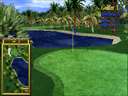 Golden Tee '98 (v1.00) jpg snap thumbnail