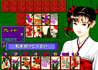 Hana Kanzashi (Japan) png snap