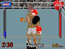 Heavyweight Champ (Japan) (FD1094 317-0046)