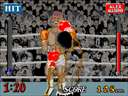 Heavyweight Champ (Japan) (bootleg of FD1094 317-0046 set)