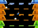 Vs. Ice Climber (set IC4-4 B-1)