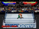 WWE (JAKKS Pacific TV Game, Game-Key Ready)