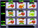 Kkot No Li (Kill the Bees) jpg snap thumbnail