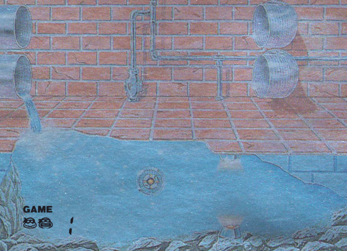 Teenage Mutant Ninja Turtles (handheld) png snap