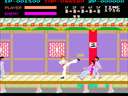 Kung-Fu Senjyo (bootleg, Spanish) jpg snap thumbnail
