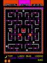 Lady Bug (bootleg on Galaxian hardware, encrypted) jpg snap thumbnail