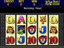 Money Mouse (0300469V, NSW/ACT) jpg snap thumbnail