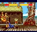 Street Fighter II: Special Champion Edition (MSI Plug & Play) (Europe)