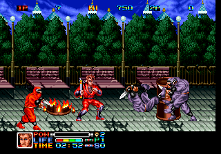 Ninja Combat (NGH-009) png snap
